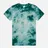 RIPNDIP