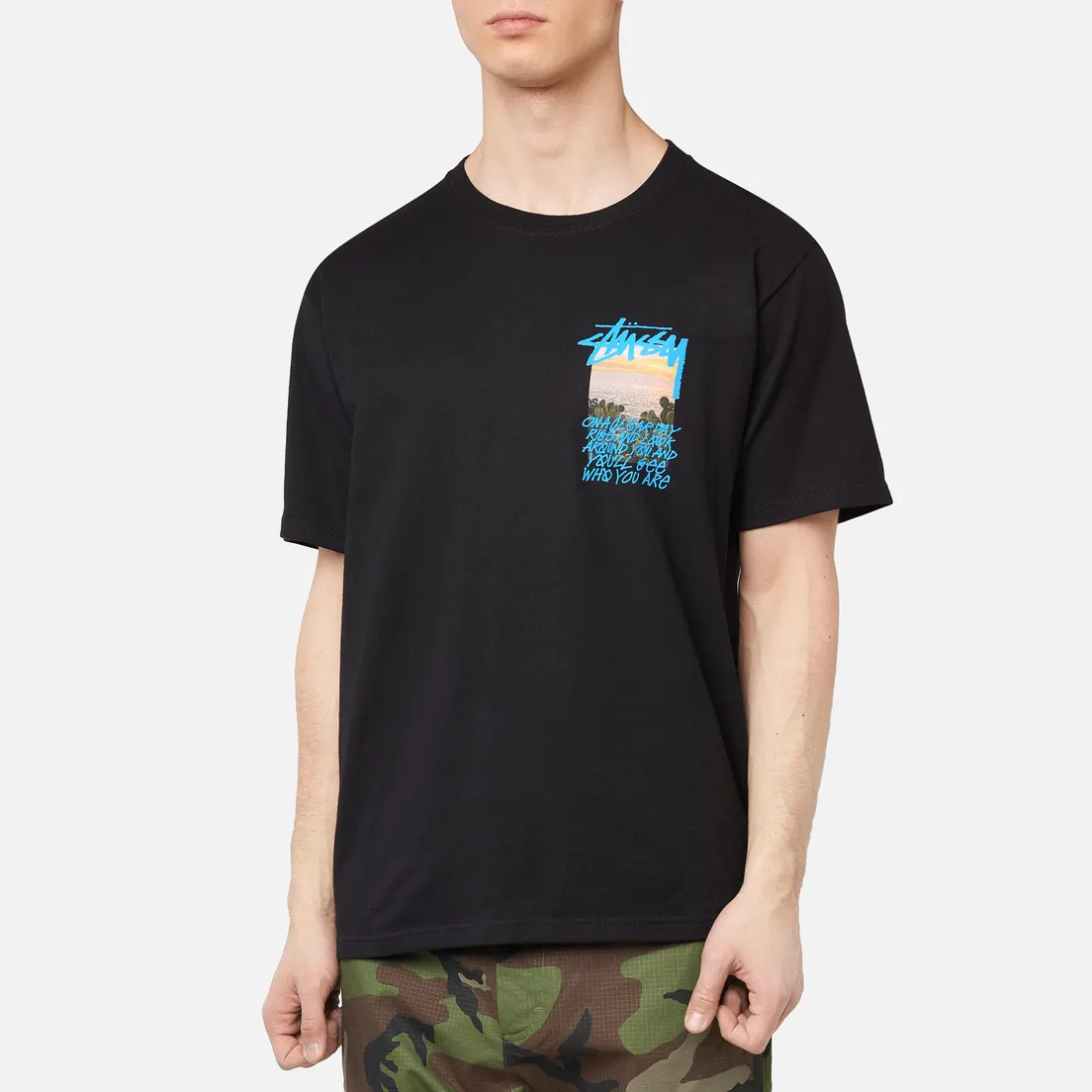 Stussy Мужская футболка Clear Day