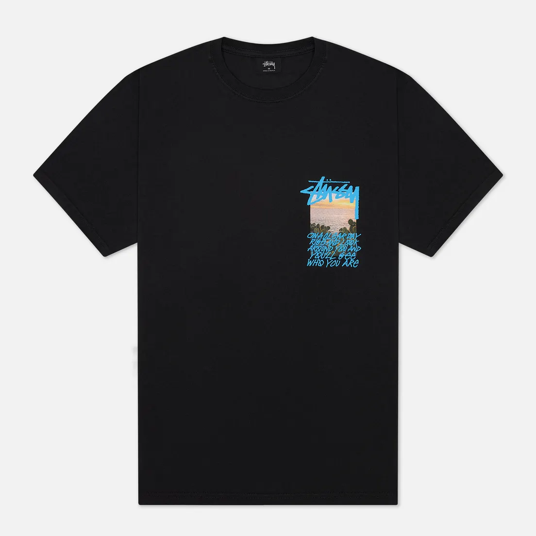 Stussy Мужская футболка Clear Day