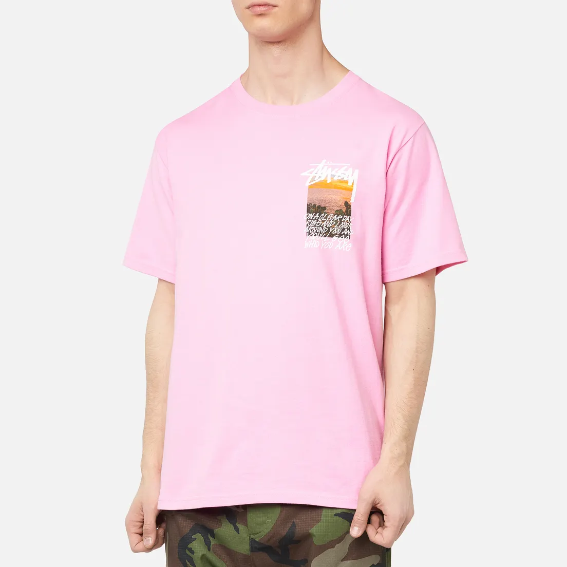 Stussy Мужская футболка Clear Day