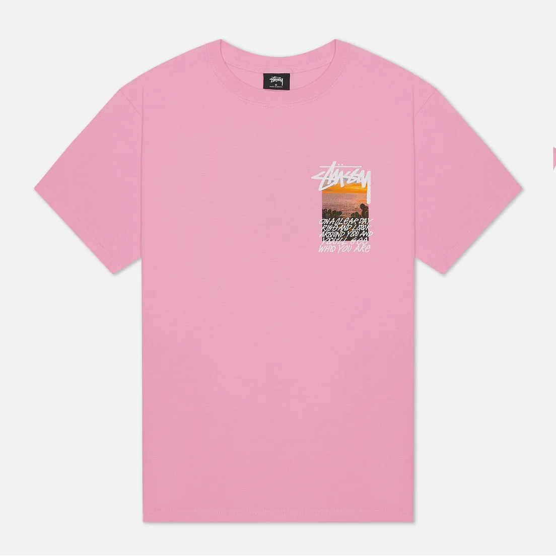 Stussy Мужская футболка Clear Day