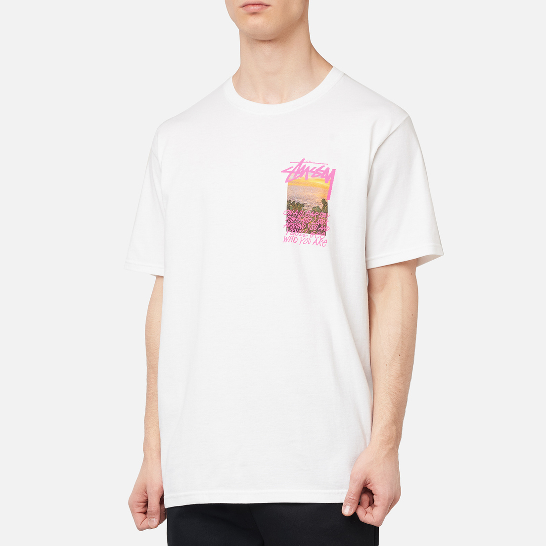 Stussy Мужская футболка Clear Day