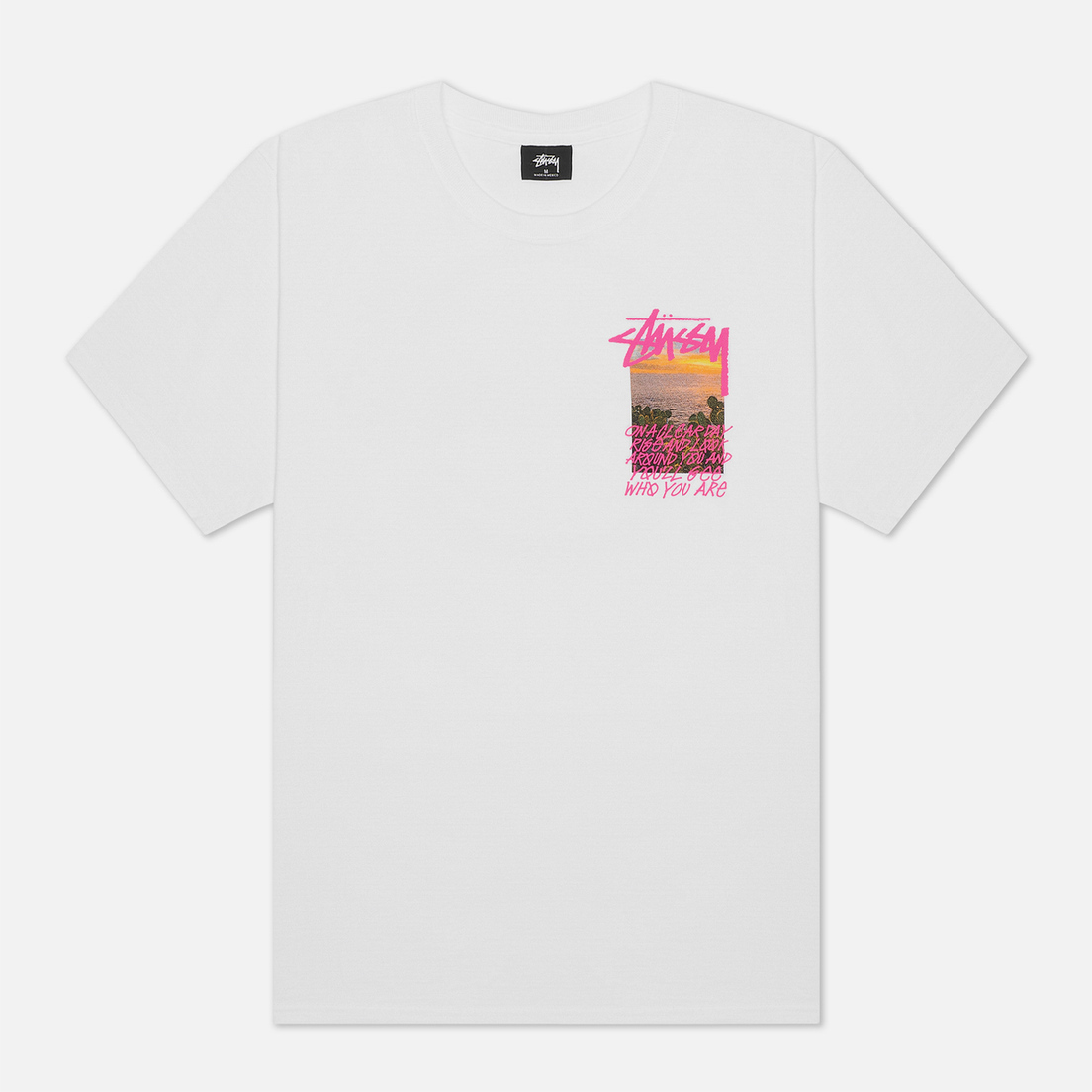Stussy Мужская футболка Clear Day