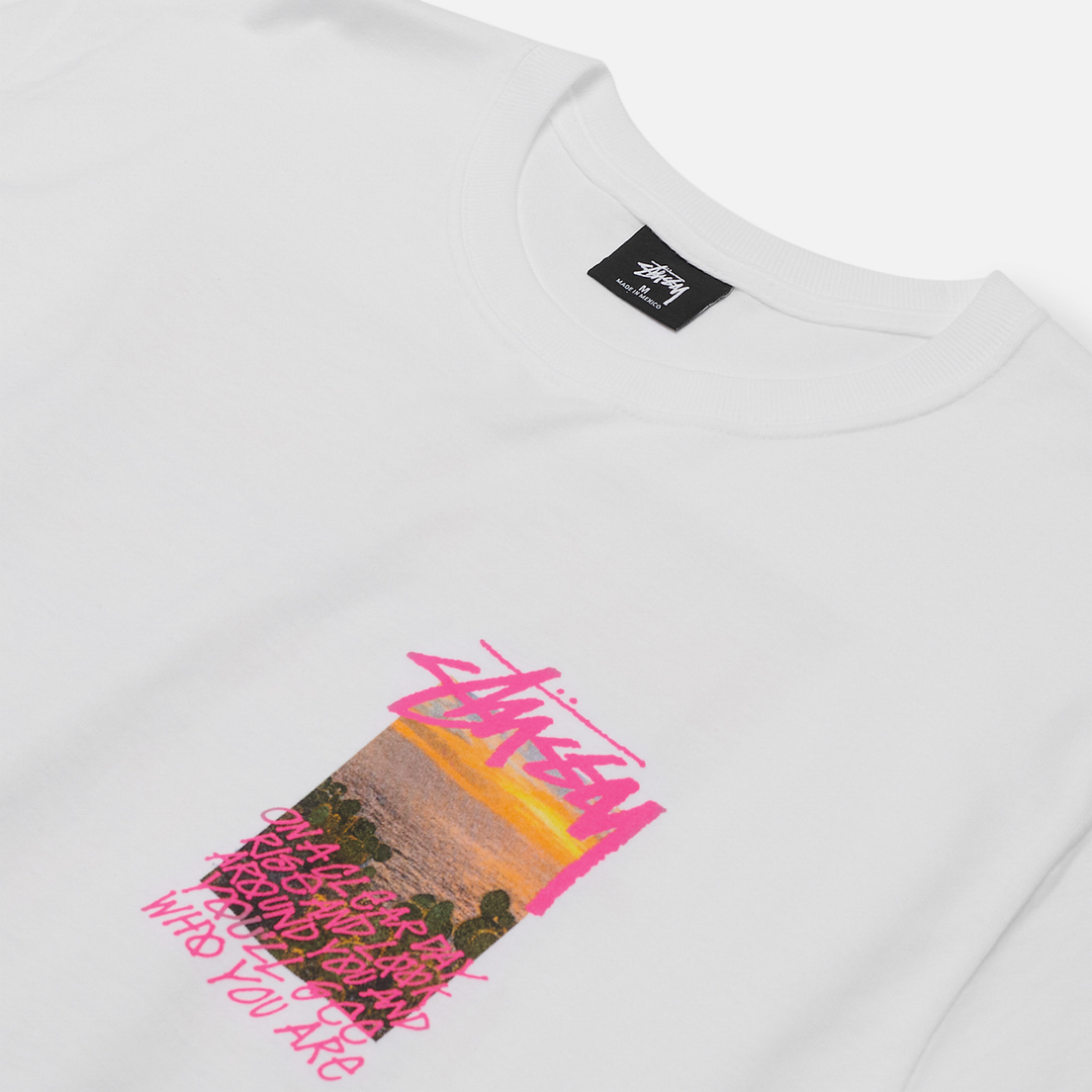 Stussy Мужская футболка Clear Day