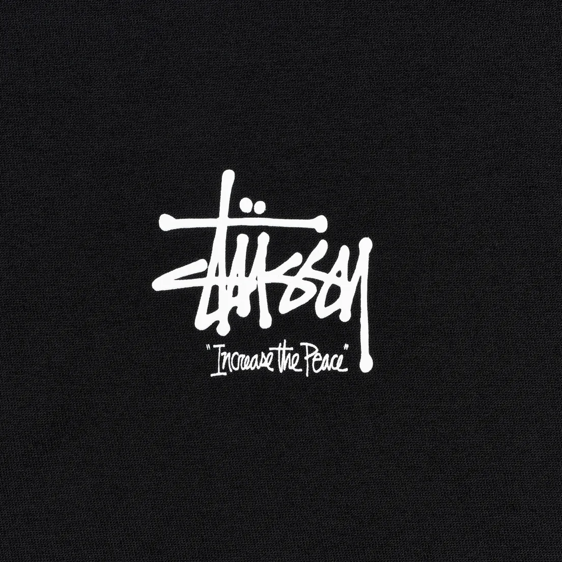 Stussy Мужская футболка ITP Lion
