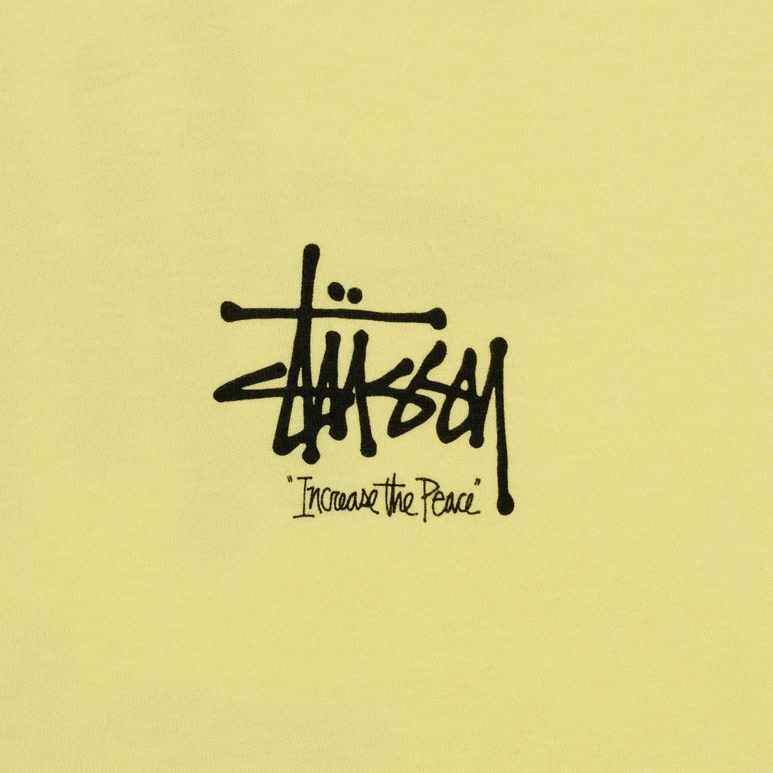 Stussy Мужская футболка ITP Lion