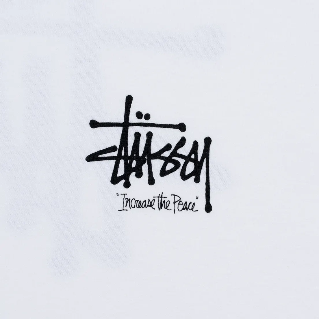 Stussy Мужская футболка ITP Lion