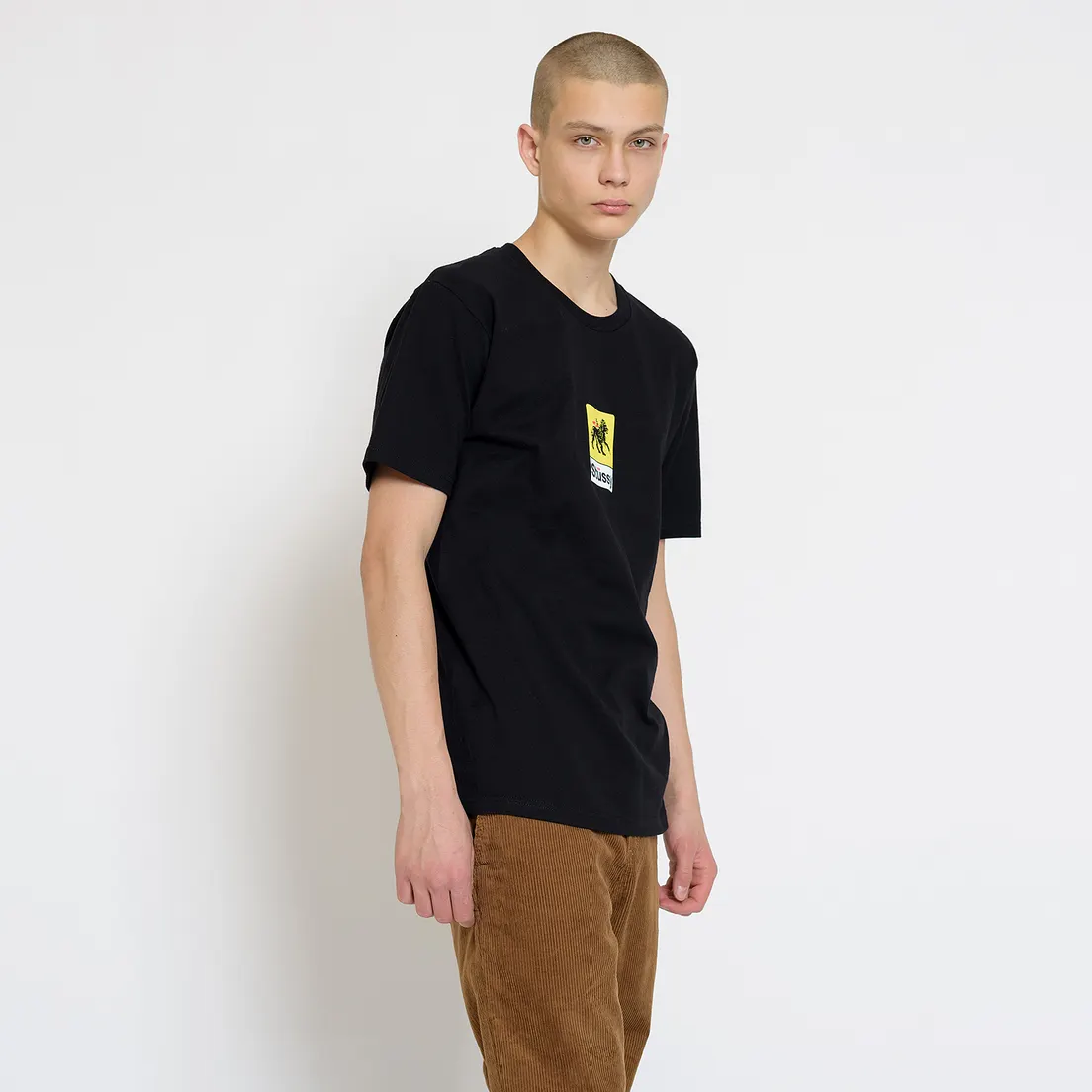 Stussy Мужская футболка Leone