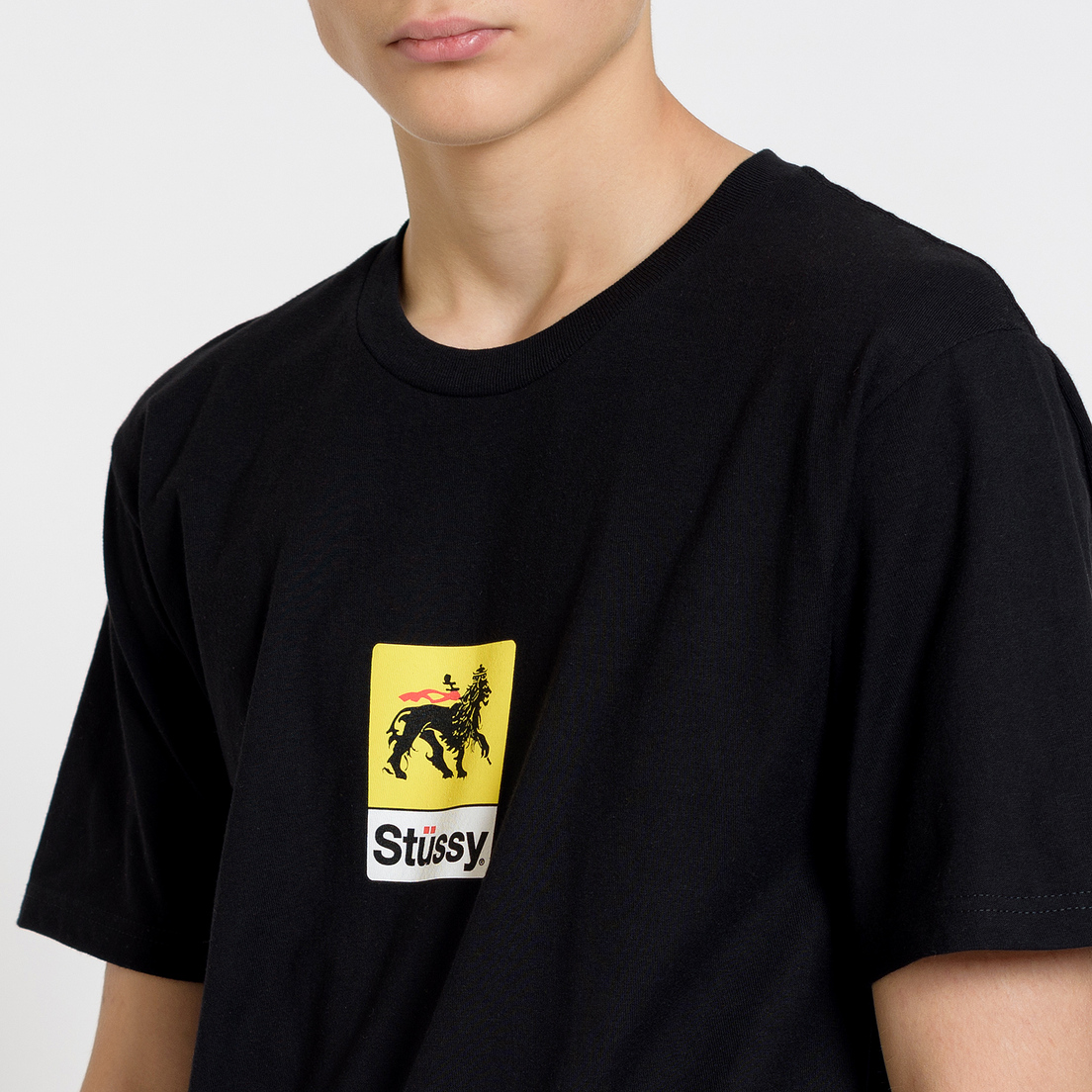 Stussy Мужская футболка Leone