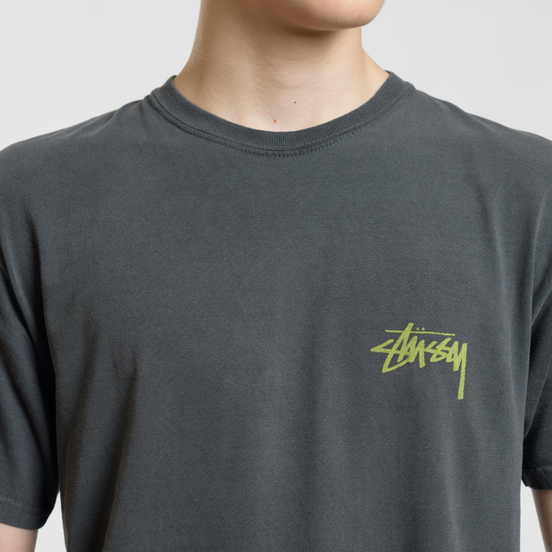Мужская футболка Stussy Painter Pigment Dyed Black