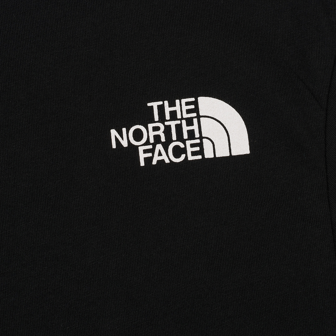 The North Face Мужская футболка Celebration Easy