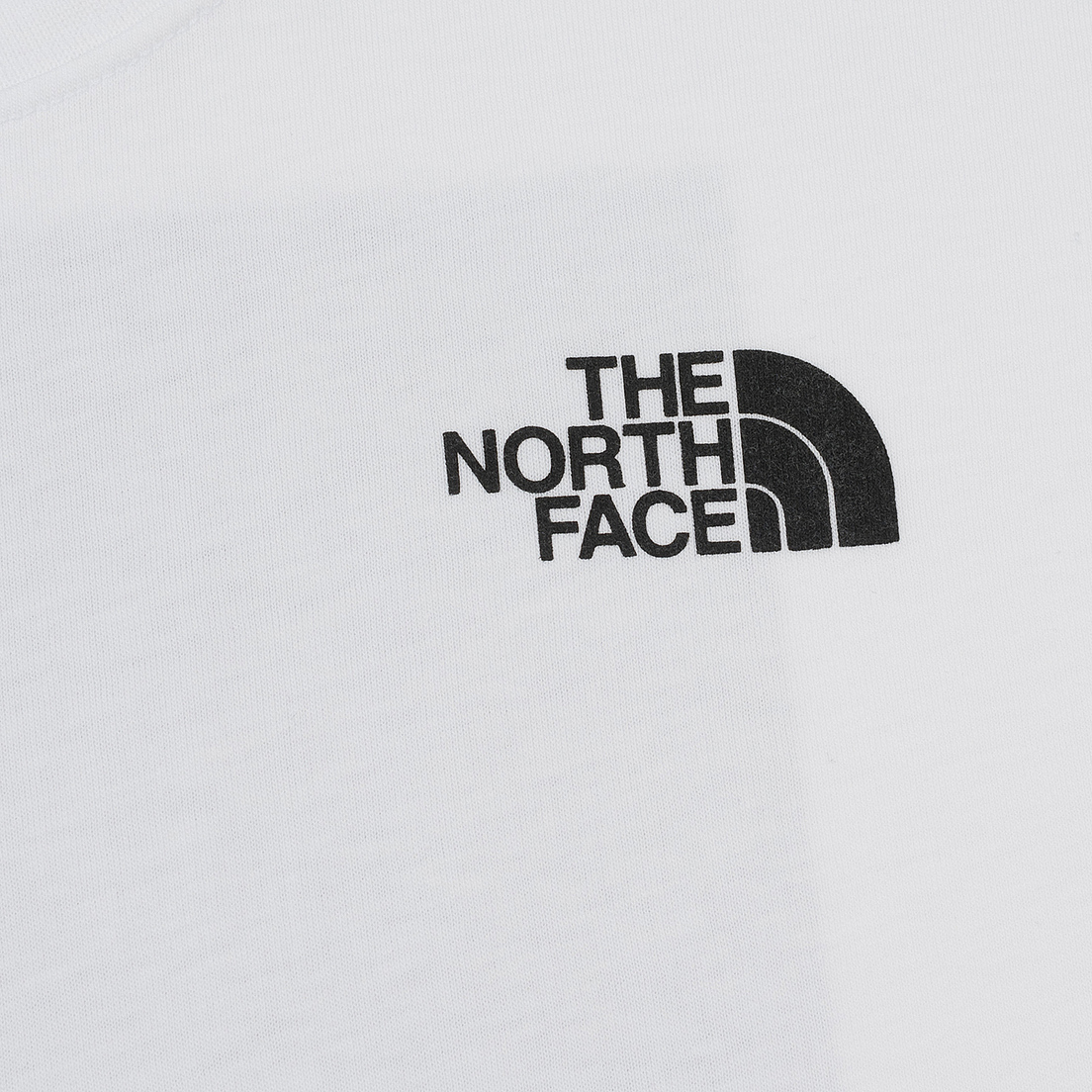 The North Face Мужская футболка Celebration