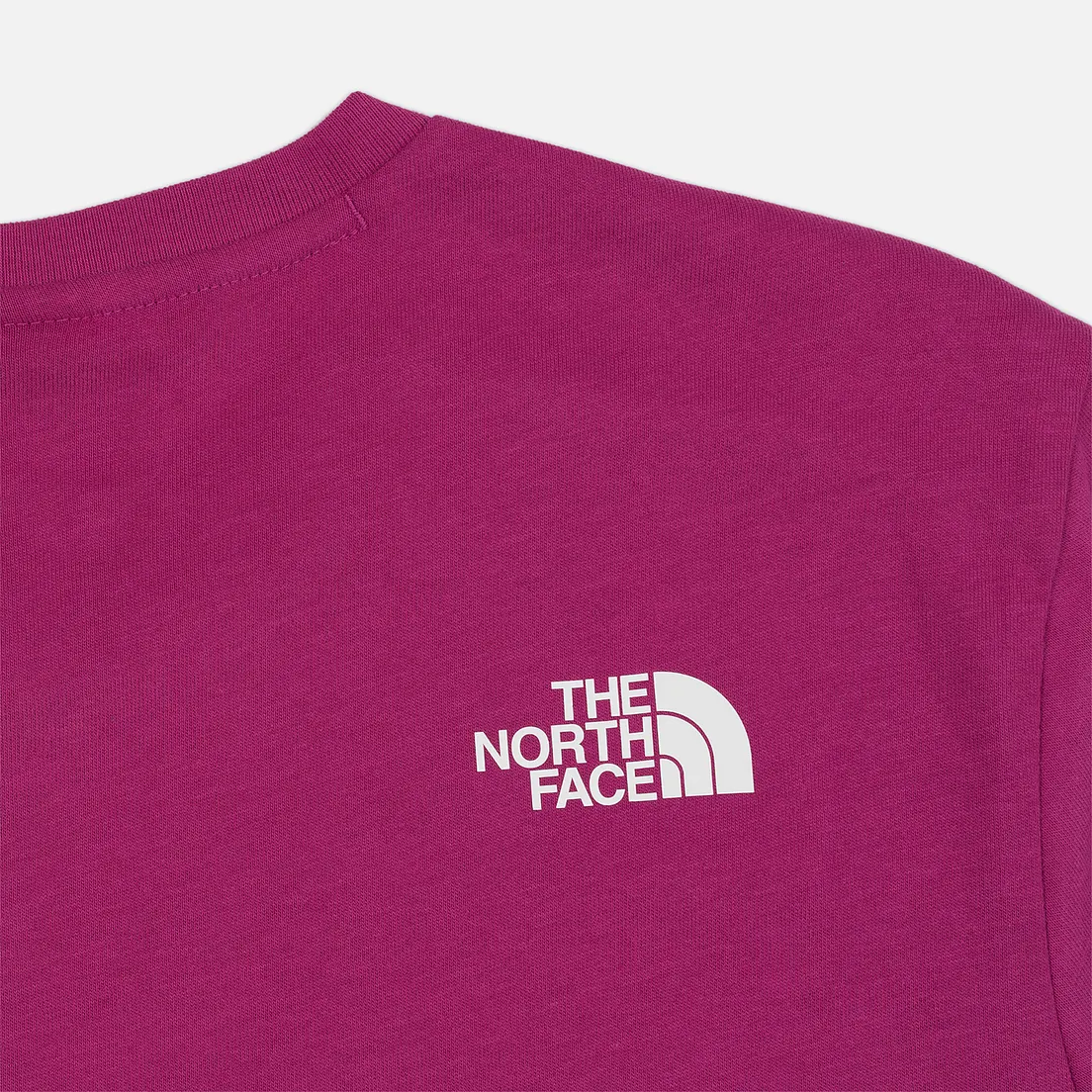 The North Face Мужская футболка Fine 2