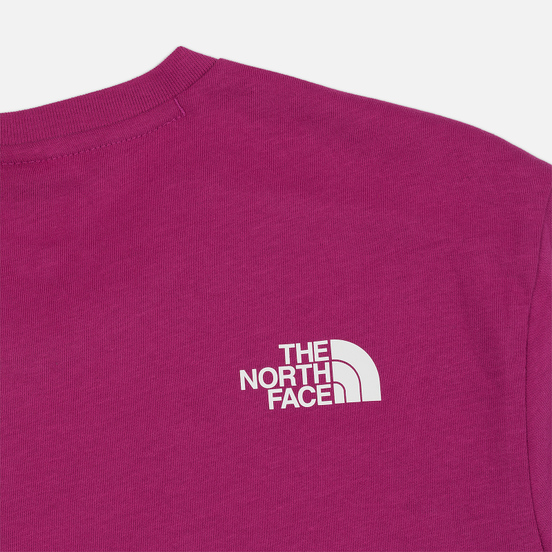 Мужская футболка The North Face Fine 2 Festival Pink