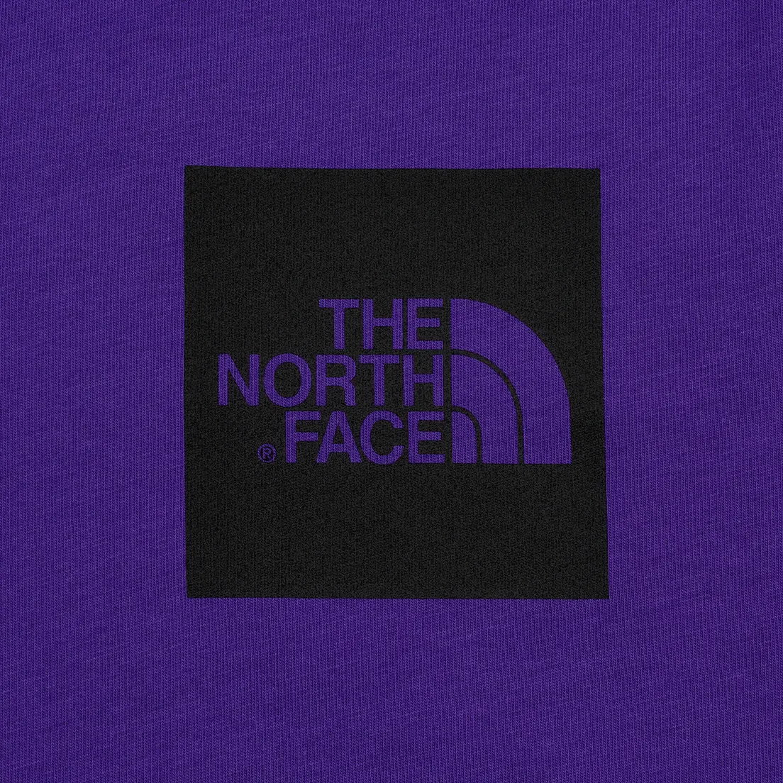 The North Face Мужская футболка Fine