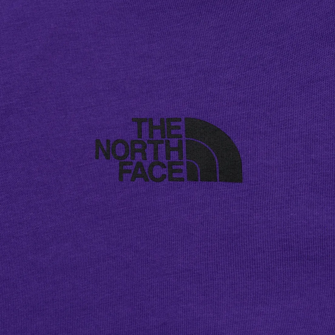 The North Face Мужская футболка Fine