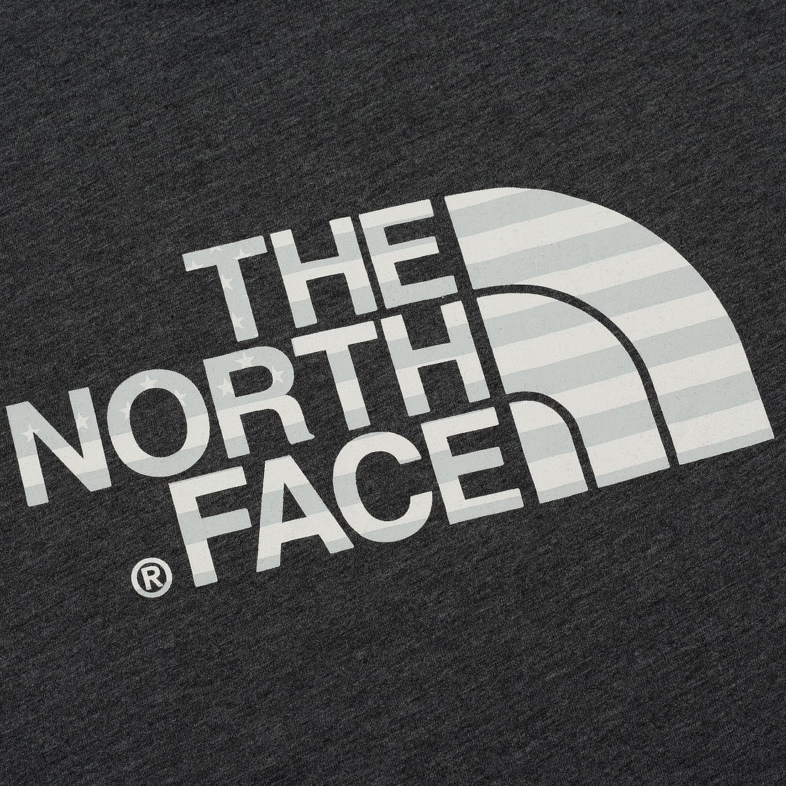 The North Face Мужская футболка IC SS Cotton Crew