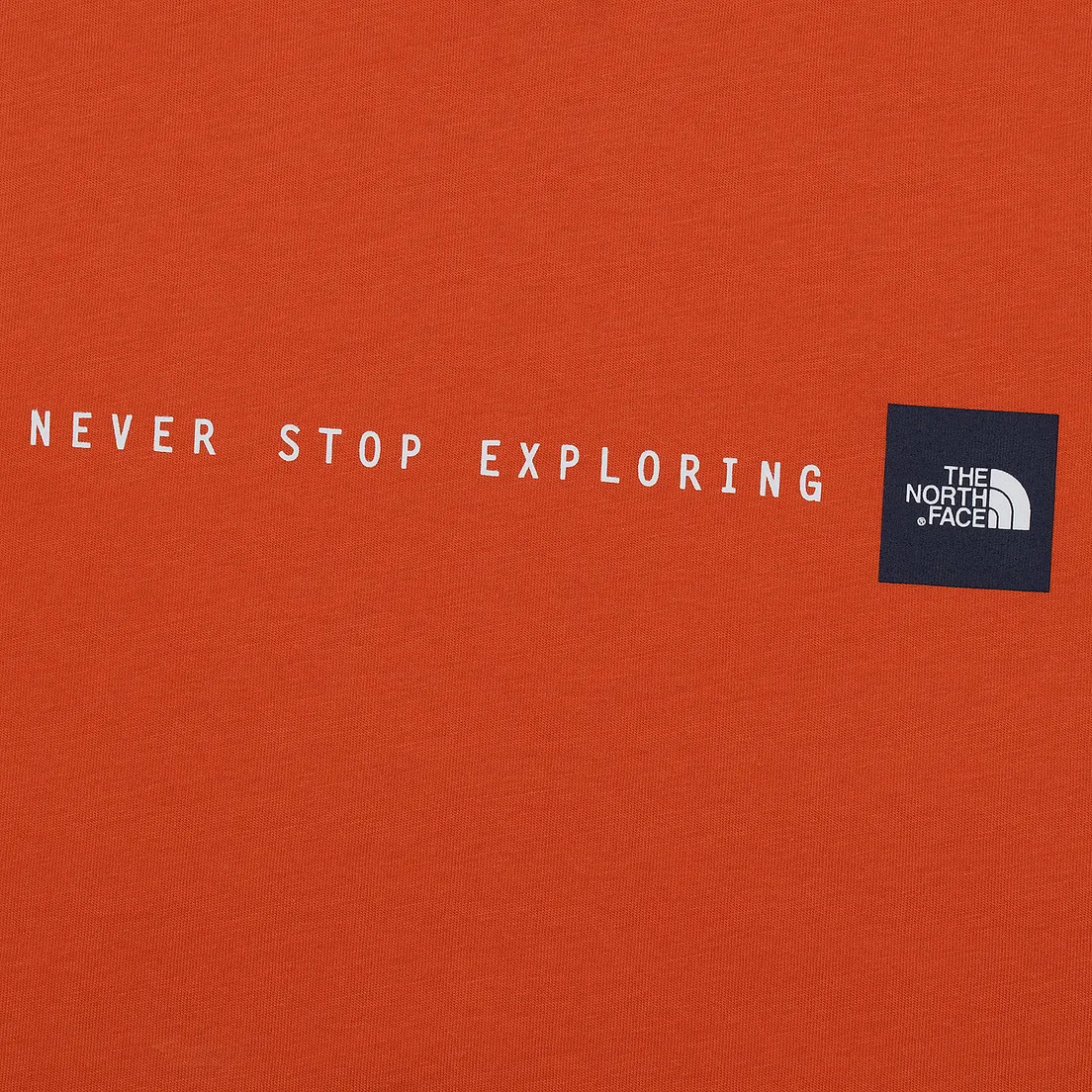 The North Face Мужская футболка Never Stop Exploring