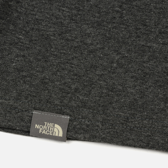 Мужская футболка The North Face Raglan Easy Medium Grey Heather