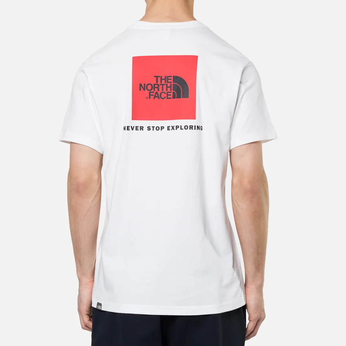 The North Face Мужская футболка Red Box