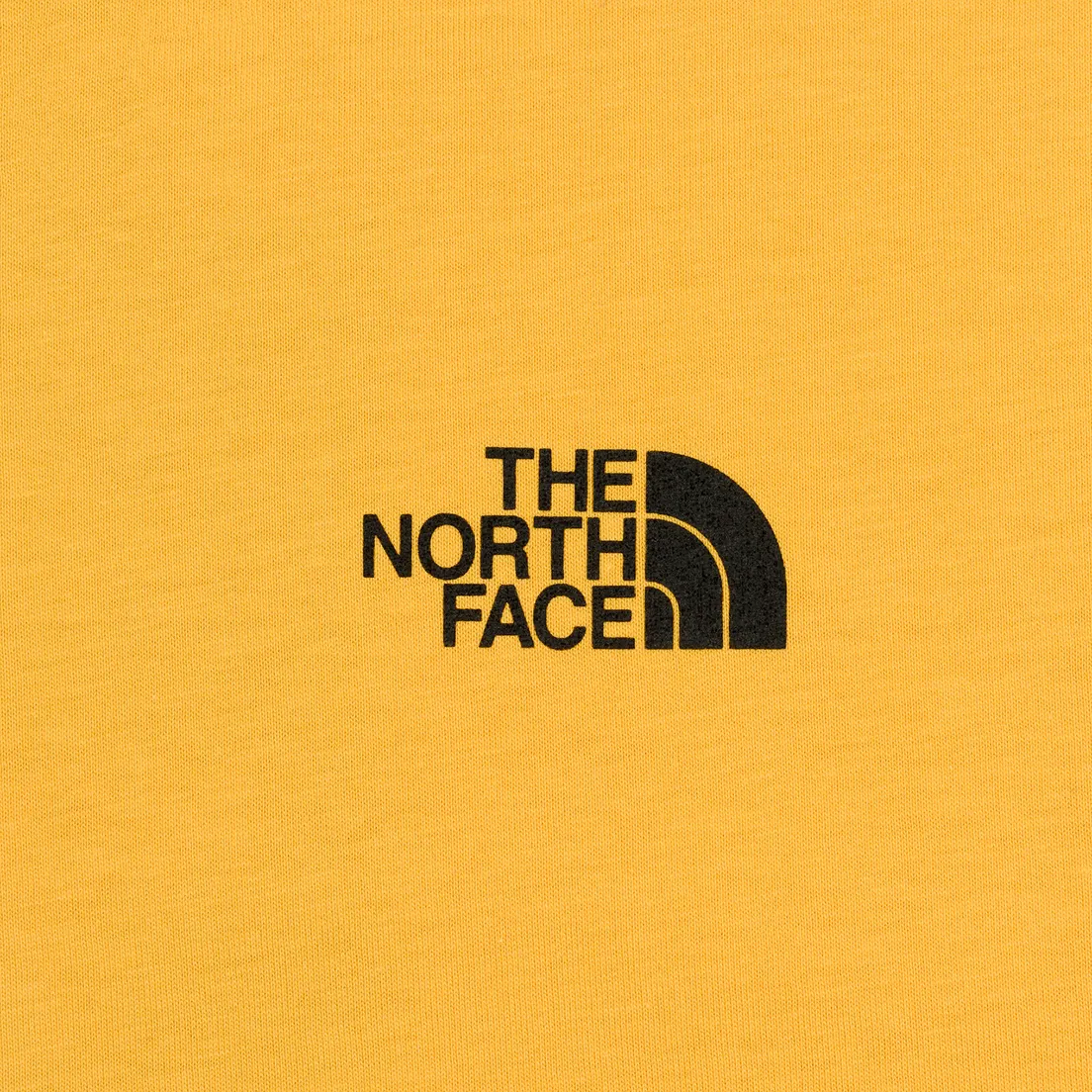 The North Face Мужская футболка Red Box