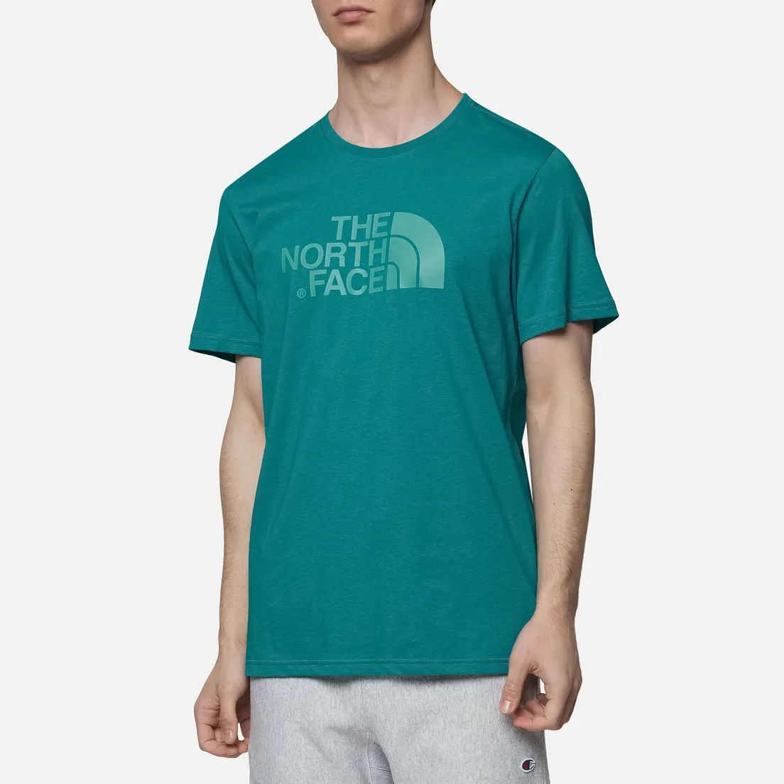 The North Face Мужская футболка SS Easy