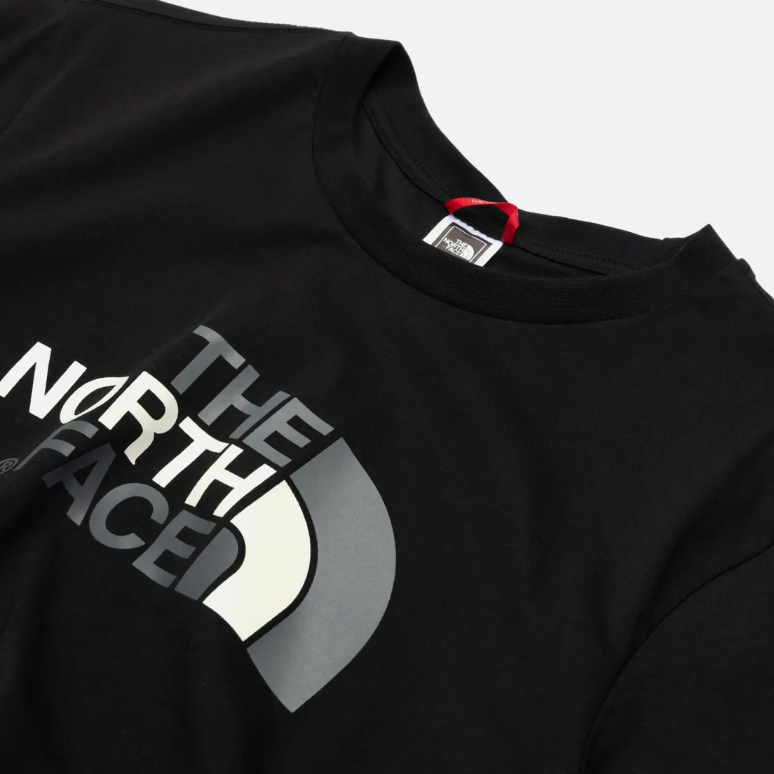 The North Face Мужская футболка SS Easy