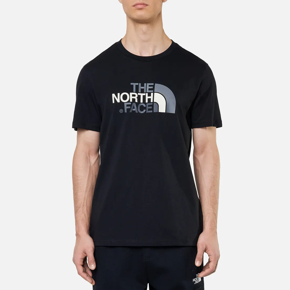 The North Face Мужская футболка SS Easy