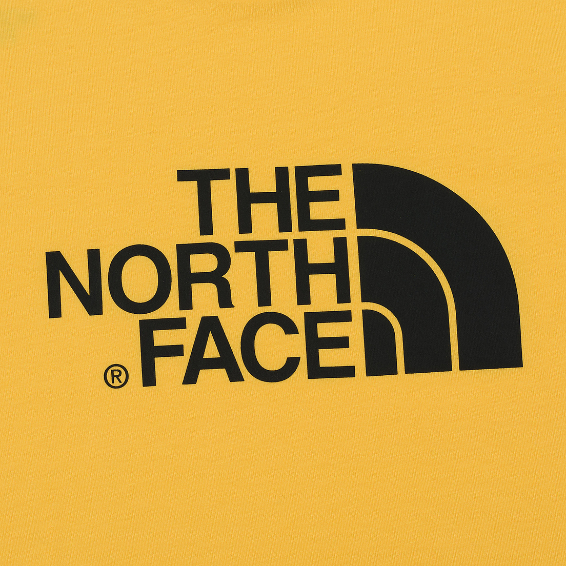 The North Face Мужская футболка SS Easy