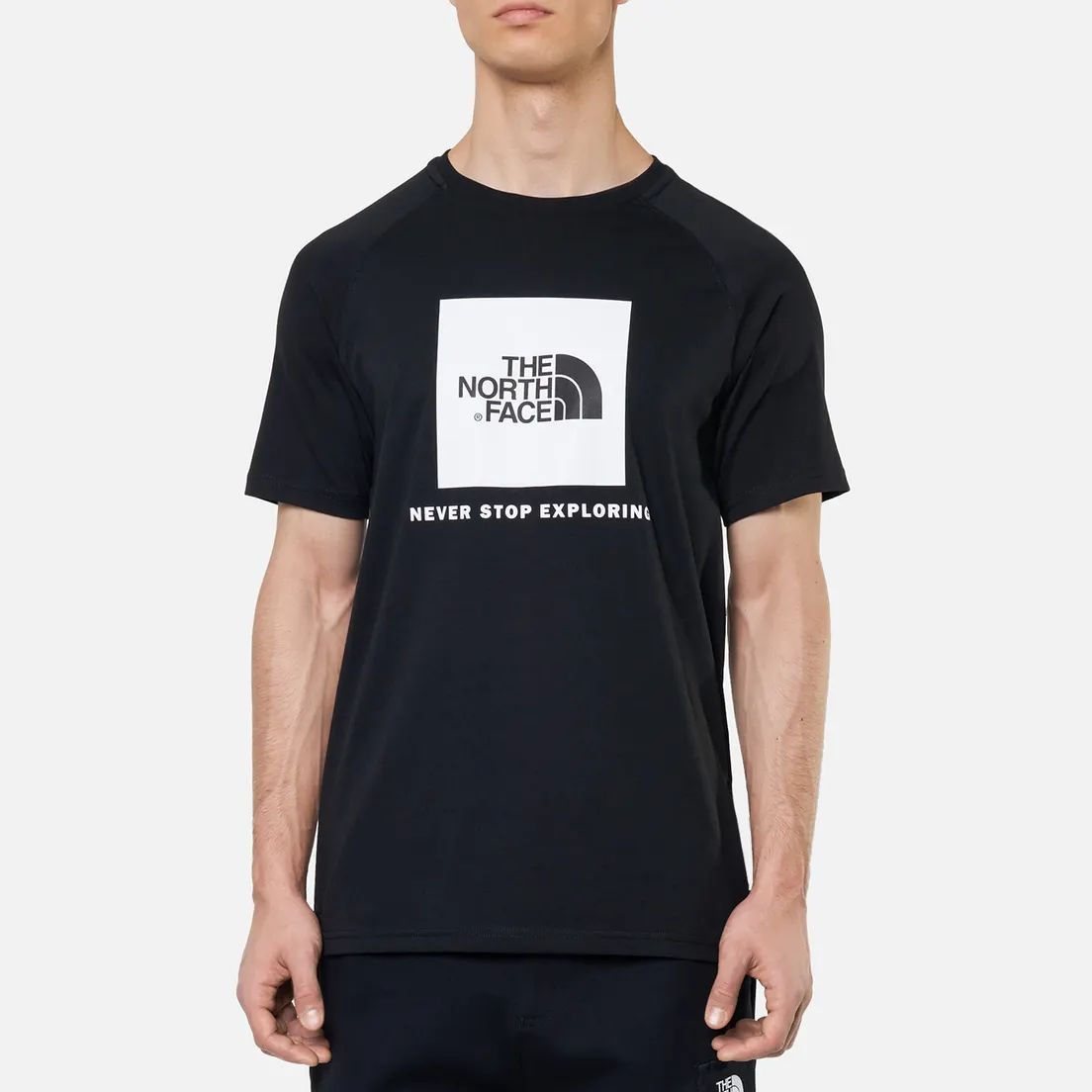 The North Face Мужская футболка Rag Red Box