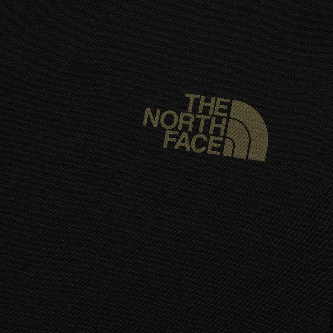 The North Face Мужская футболка TNF Print