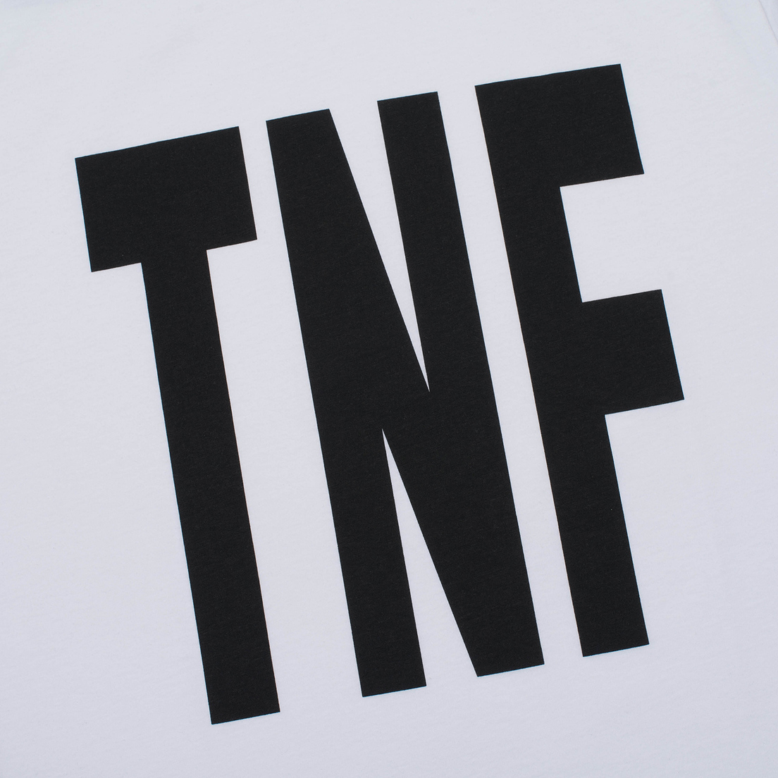 The North Face Мужская футболка TNF SS