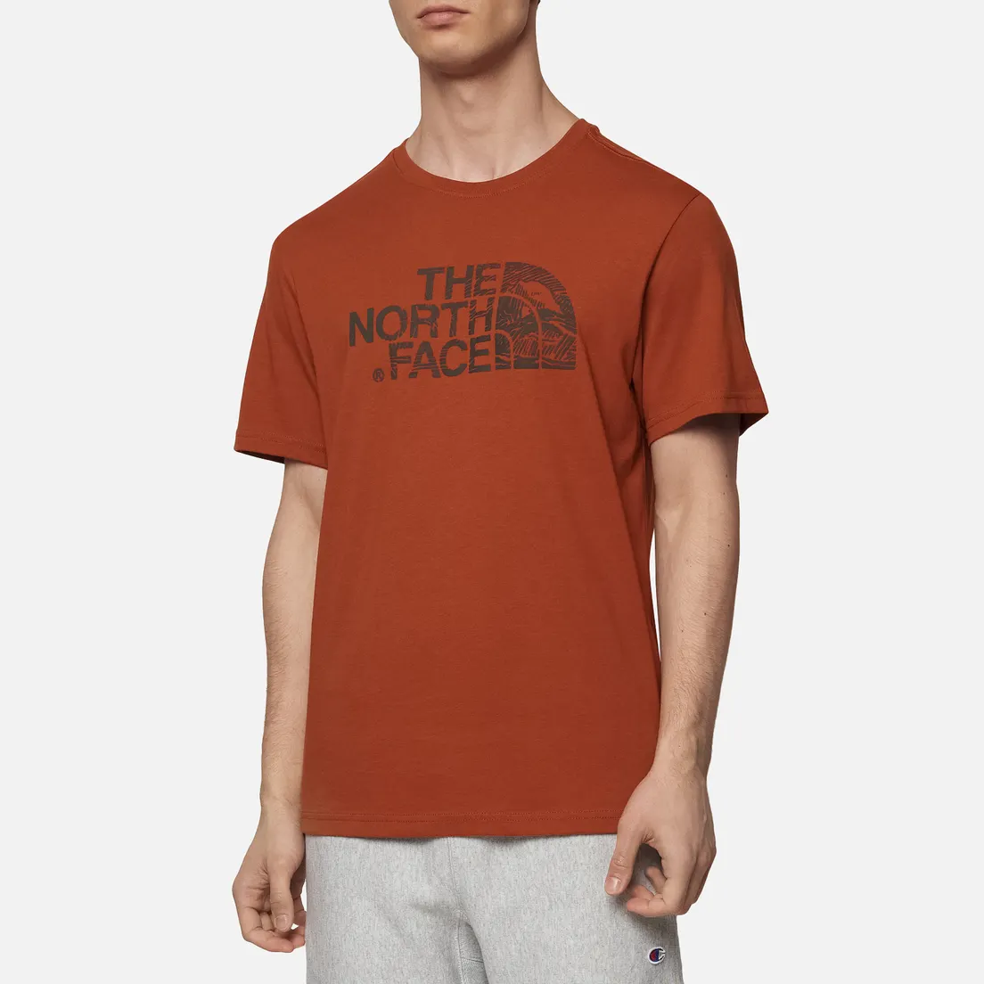 The North Face Мужская футболка Woodcut Dome