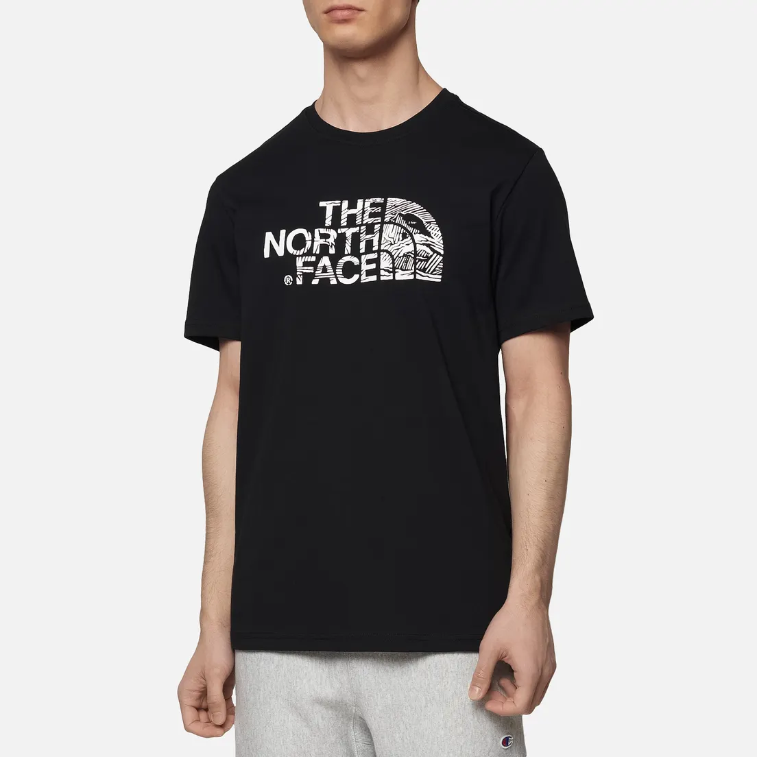The North Face Мужская футболка Woodcut Dome