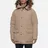 Arctic Explorer