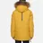 Arctic Explorer