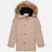 Arctic Explorer