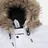 Penfield