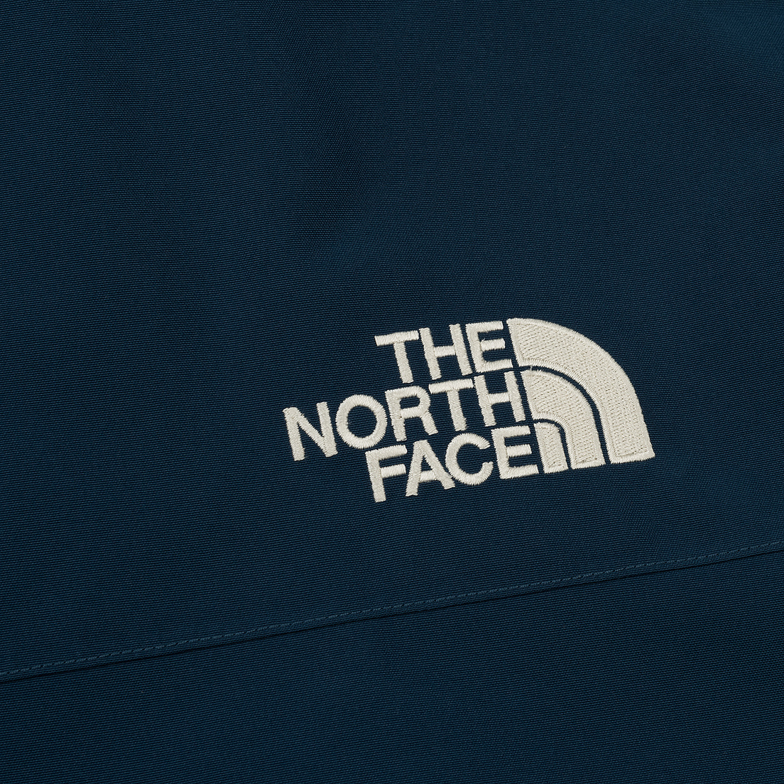 The North Face Мужская куртка Fantasy Ridge Gore-Tex