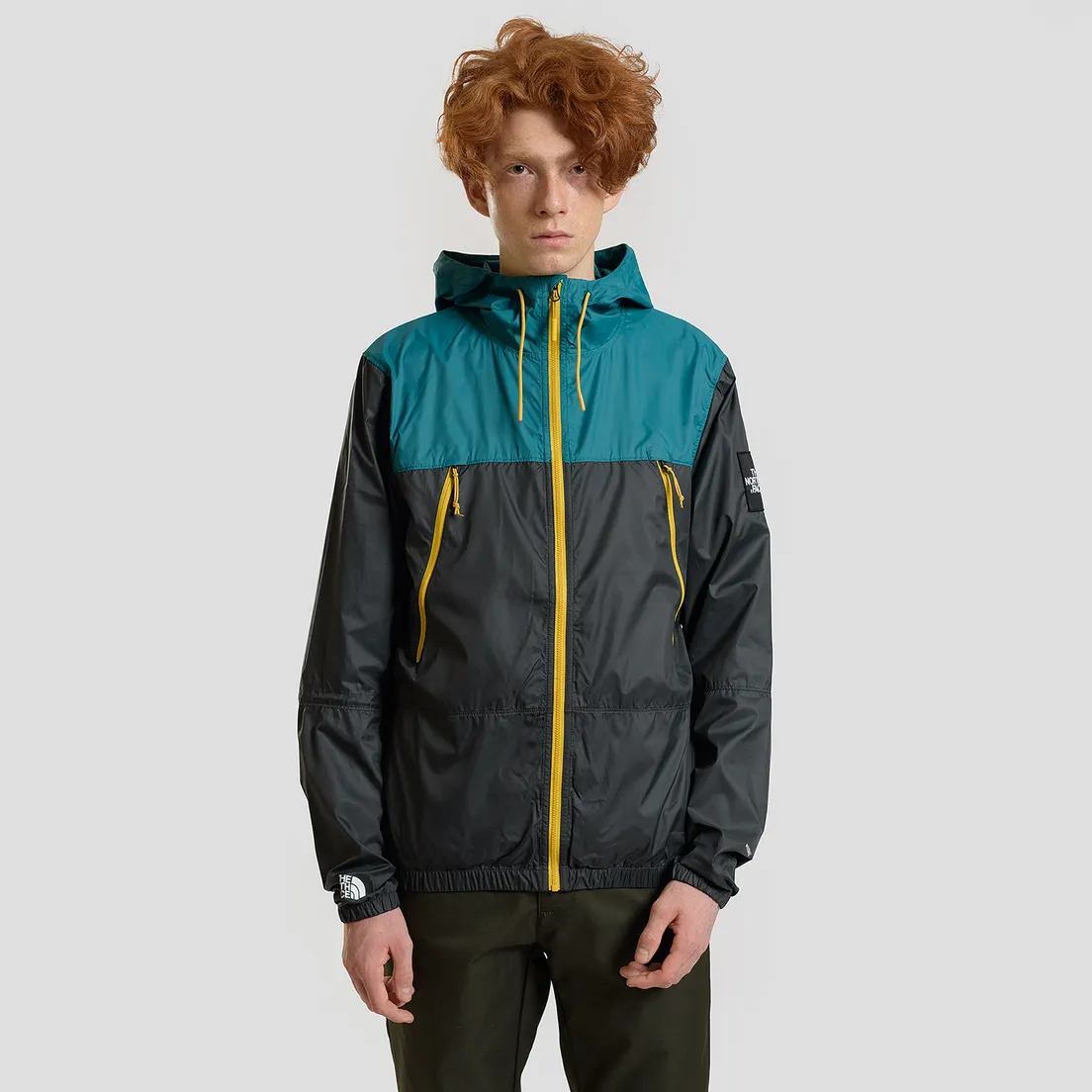 The North Face Мужская куртка ветровка 1990 Seasonal Mountain