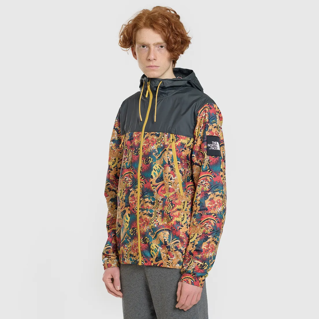 The North Face Мужская куртка ветровка 1990 Seasonal Mountain