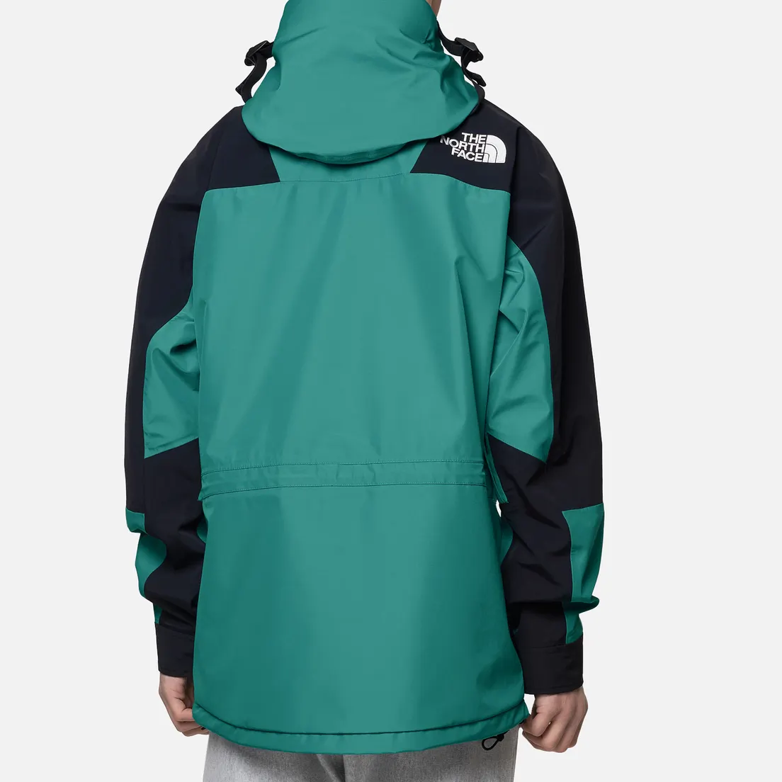 The North Face Мужская куртка ветровка 94 Retro Mountain Light Futurelight