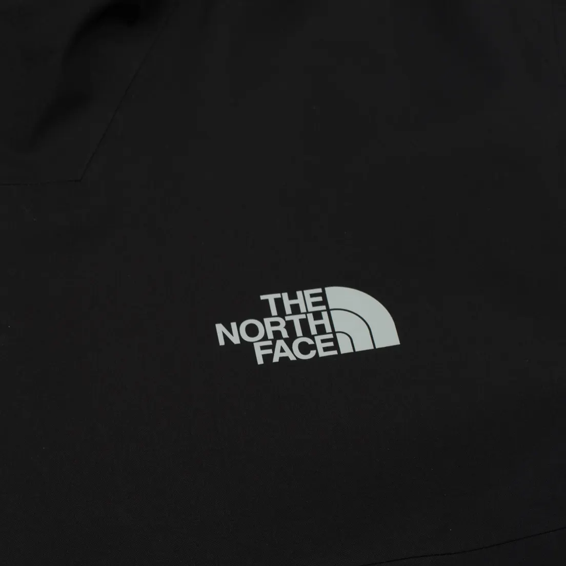 The North Face Мужская куртка ветровка Point Five Gore-Tex Pro 3L