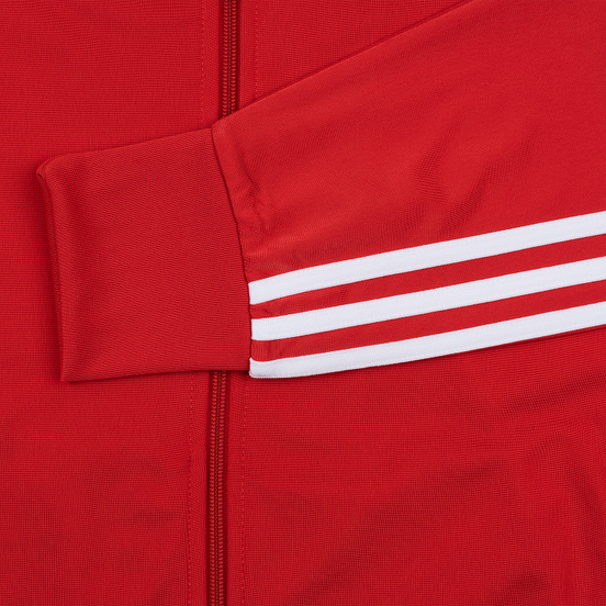Мужская олимпийка adidas Originals Firebird Lush Red