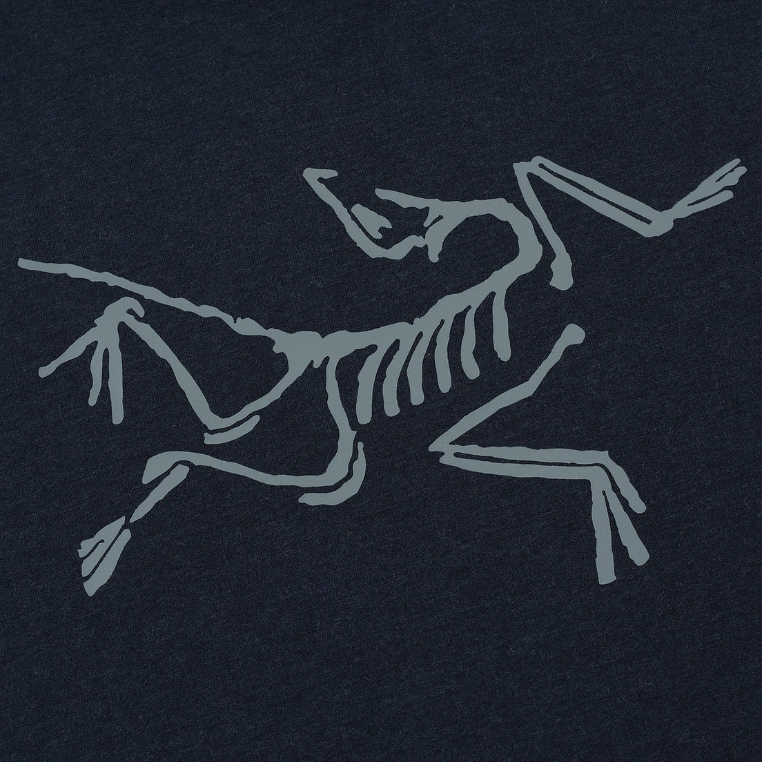 Arcteryx Мужская толстовка Archaeopteryx Pullover Hoody