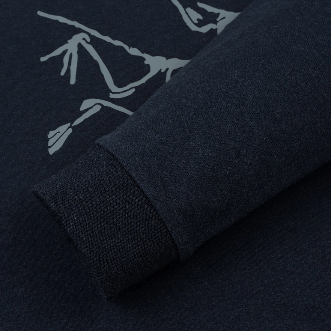 Arcteryx Мужская толстовка Archaeopteryx Pullover Hoody