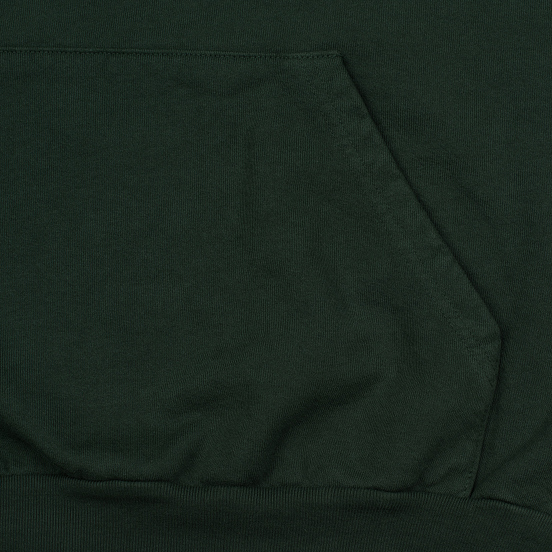 Мужская толстовка Bronze 56K Embroidered Smoke Hoody Dark Green