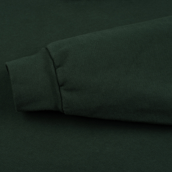 Мужская толстовка Bronze 56K Embroidered Smoke Hoody Dark Green
