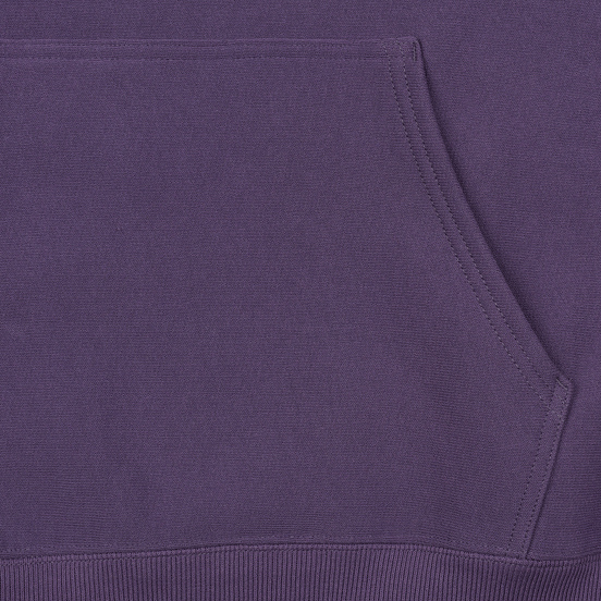 Мужская толстовка Champion Reverse Weave Hooded Brushed Fleece Mulled Grape