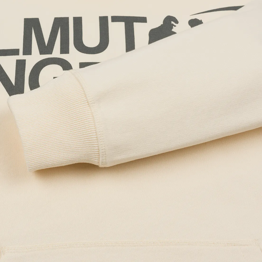 Helmut Lang Мужская толстовка Standard Hoodie Pelvis Generic